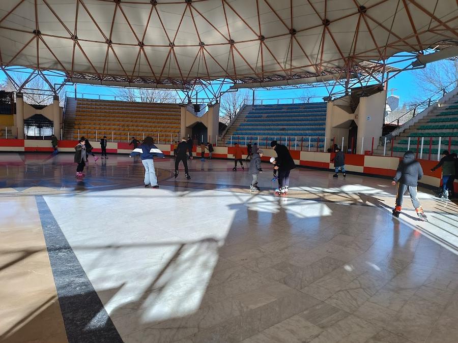 Altinpark Paten Pisti (Skating Altinpark)