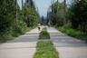 Arbutus Greenway