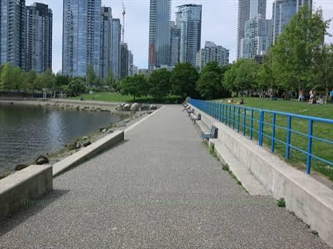 False Creek Seawall (David Lam Park to Science World)