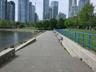 False Creek Seawall (David Lam Park to Science World)