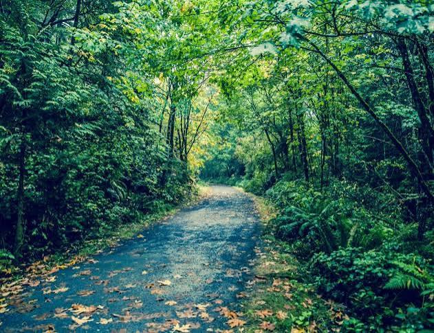 Galloping Goose Regional Trail (Langford-Victoria paved section)