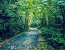 Galloping Goose Regional Trail (Langford-Victoria paved section)