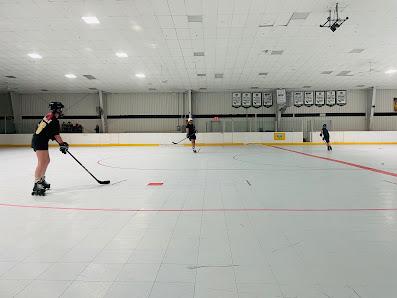 Public Skate