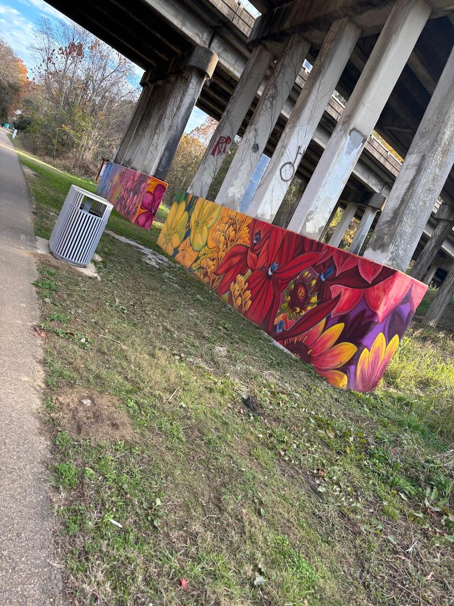 Museum Trail (Jackson)