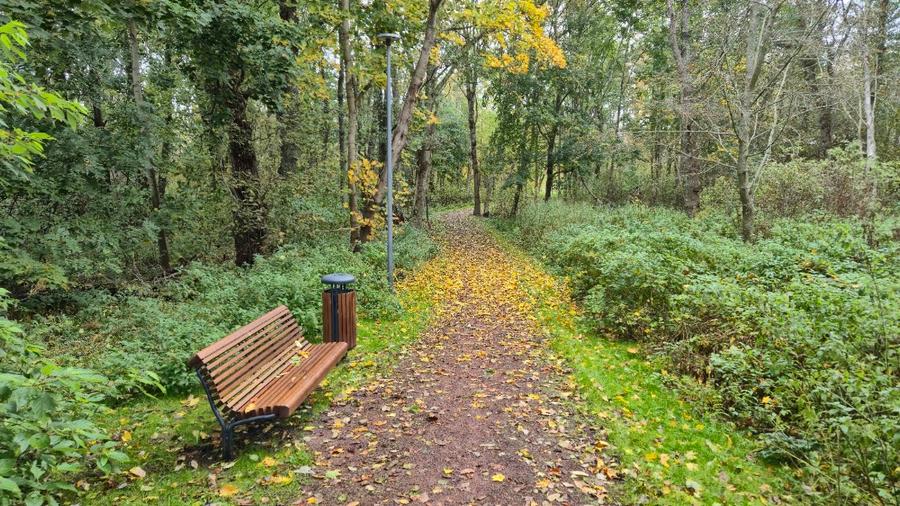 Pirita Lillepi pargi rulluisurada
