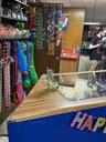 Skateland of Huntington