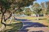Bucklin Park