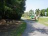 Amelia River to Sea Trail