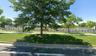 Country Estates Park Outdoor Rink