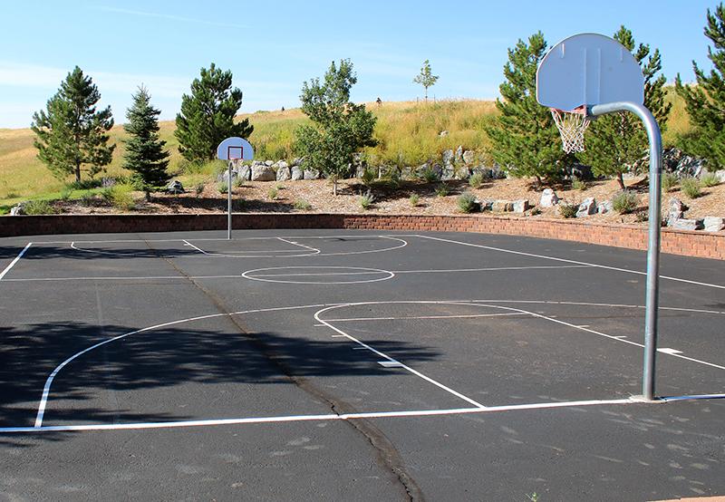 Red-Tail Park Outdoor Rink/Basketball Court