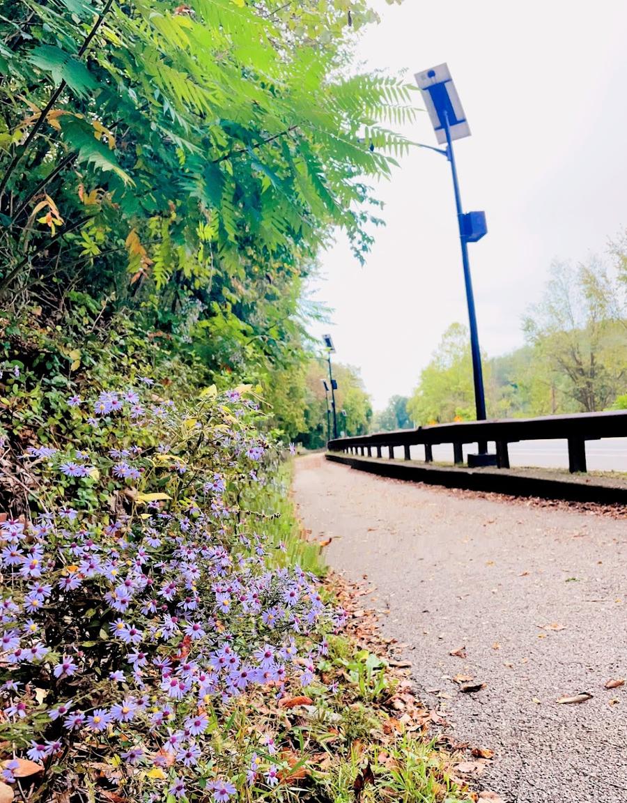 Corrigan Drive Path (South Park)