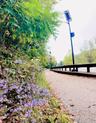 Corrigan Drive Path (South Park)