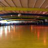 Stone Mountain Skates