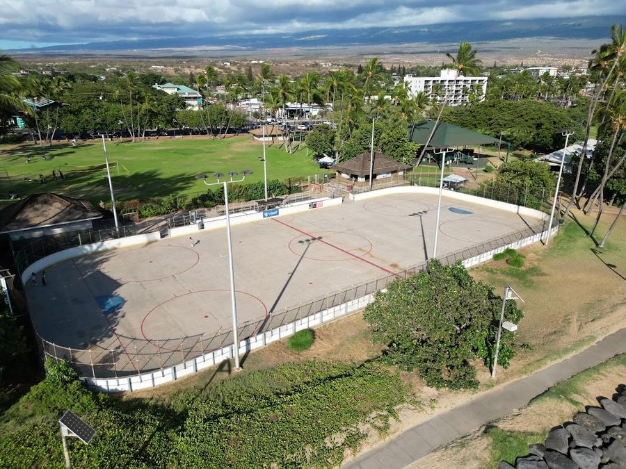 Public Skating