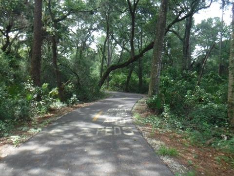 Timucuan Trail (Big Talbot Island)