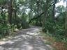 Timucuan Trail (Big Talbot Island)
