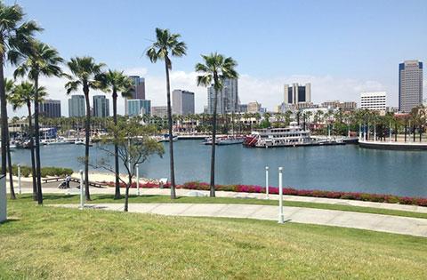 Shoreline Village Boardwalk